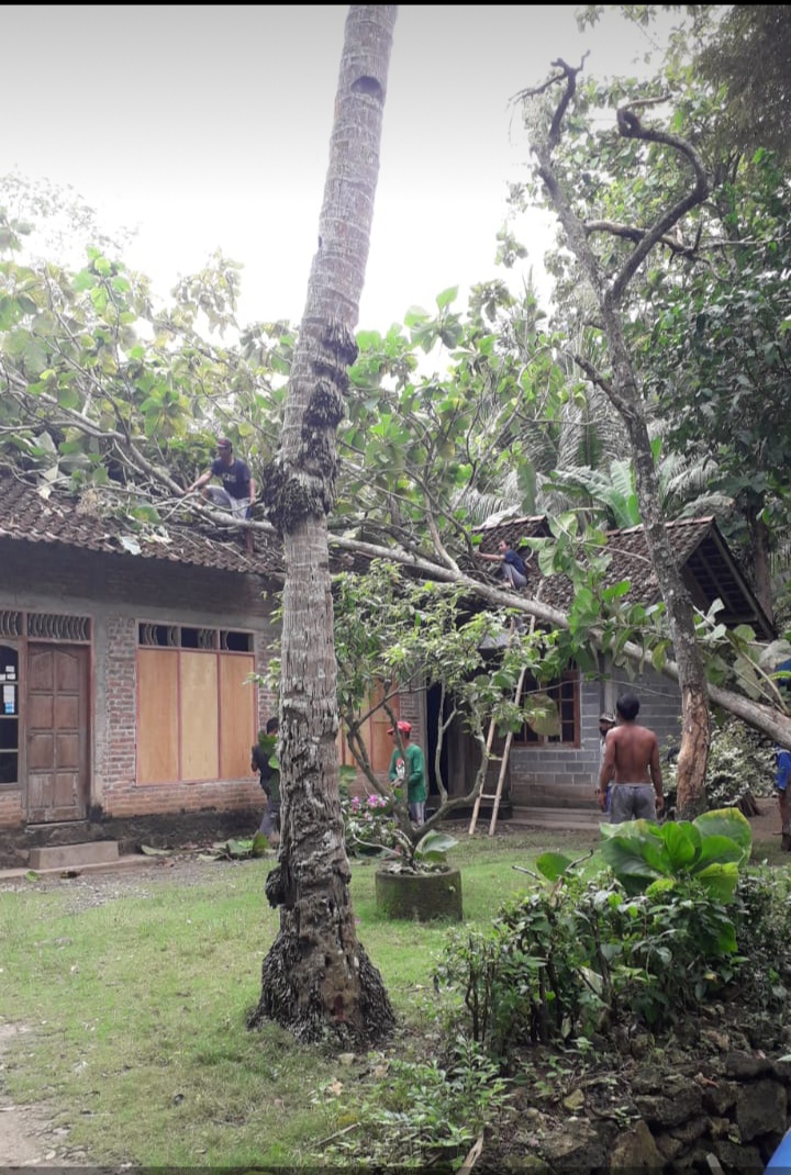 Pohon Tumbang Timpa Rumah di Kriyan